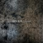 Zelam - Cognitive Disorder EP