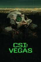 CSI: Vegas - Staffel 2