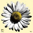 VA - Heart of Gold: The Songs of Neil Young, Vol  1