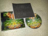 Celestial Intelligence-Perpetual Energy- SUNCD35 -CD-FLAC-2015-KINDA