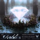 Galleons & Valiant Hearts - Fables Volume 1