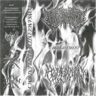 Consanguinity Resplendency - Bereavement