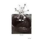 Mute Swan - Skin Slip