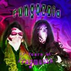 Fungozoid - 17 Years Of Fragments
