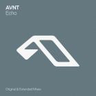 AVNT - Echo