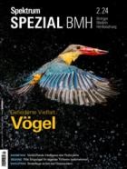 Spektrum Der Wissenschaft SPEZIAL Biologie Medizin Hirnforschung 02/2024