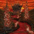 Vaginality - Suffocating in Gastric Filth