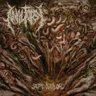 Analtopsy - Septic Overload