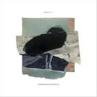 swanasa-Mirror- ASIP042 -16BIT-WEB-FLAC-2024-BABAS