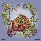 Darko-Canvas-24BIT-48KHZ-WEB-FLAC-2025-FLACCiD