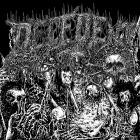 Decedent - Decedent