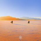 PRAANA - Insight Out
