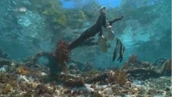 Into.the.Blue.-.Indonesiens.Unterwasserparadiese.E02.Im.Archipel.Raja.Ampat.GERMAN.DOKU.WEBRip.x264-TVKNOW