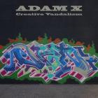 Adam X-Creative Vandalism- SG0123LP -16BIT-WEB-FLAC-2001-BABAS