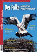 Der Falke - Journal fuer Vogelbeobachter 07/2026