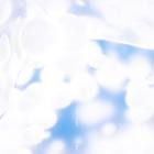 Dallas Love Field - Bliss