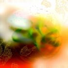 Hysteria Temple Foundation-Liminal Vortex- USL003 -24BIT-WEB-FLAC-2025-BABAS