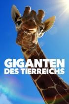 Giganten.des.Tierreichs.S01E08.GERMAN.DL.DOKU.WEB.H264-iNFOTv