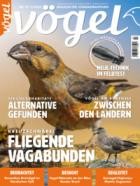 Voegel - Magazin fuer Vogelbeobachtung 79/2024