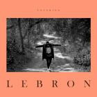 Jhoodtwin x Babydonkk3 - Lebron & Wade