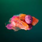 VA-Still Life- VEYL017 -16BIT-WEB-FLAC-2020-BABAS