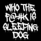 Sleeping Dog - WHO THE FK IS SLEEPING DOG