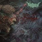Nequient - Avarice