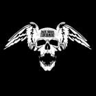 The Chuck Norris Experiment - And The Rest Will Follow