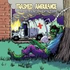 Trashed Ambulance-A Dime for Every Time-24BIT-96KHZ-WEB-FLAC-2017-FLACCiD