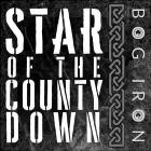 Bog Iron - Star of the County Down