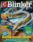 Blinker 07/2025