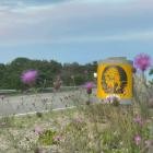 Negative Love - Negative Love