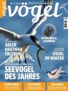 Voegel - Magazin fuer Vogelbeobachtung 72/2023