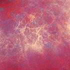 Jin Synth - Projection