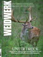 WEIDWERK 06/2026