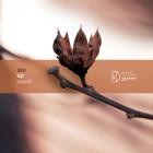 VAGH-Insight EP- TN059 -24BIT-WEB-FLAC-2022-BABAS