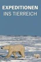 Expeditionen.ins.Tierreich.Magie.der.Fjorde.2019.GERMAN.DOKU.HDTVRip.x264-TMSF