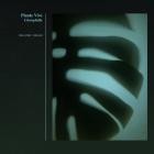 Piante Vive - Clorophilla