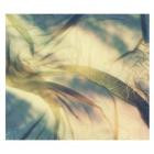 Deadbeat - Kansai Botanicals