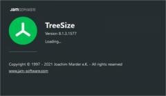 TreeSize Pro v8.6.0.1762 (x64) + Portable