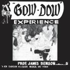 Prof  James Benson - The Gow-Dow Experience