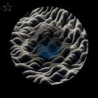 Chaz Moloney - Exist Without Me EP