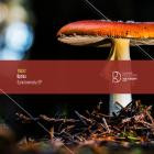 Optics-Synchronicity EP- TN032 -24BIT-WEB-FLAC-2019-BABAS