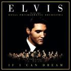 The Royal Philharmonic - Plays The Police