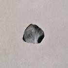 Singular Anomalies - Hold On