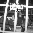 Flood Risk - Demo