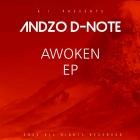 Andzo DNote - Awoken