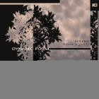 Isgang - Sistema De Perdida