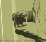 Button Masher-Super Button Masher- BFDNL171 -24BIT-WEB-FLAC-2026-BABAS