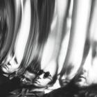 Ty Segall - Chrome